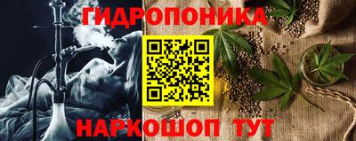 ешки Гатчина