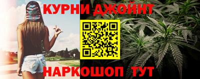 ешки Гатчина