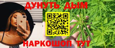 спайс Гагарин