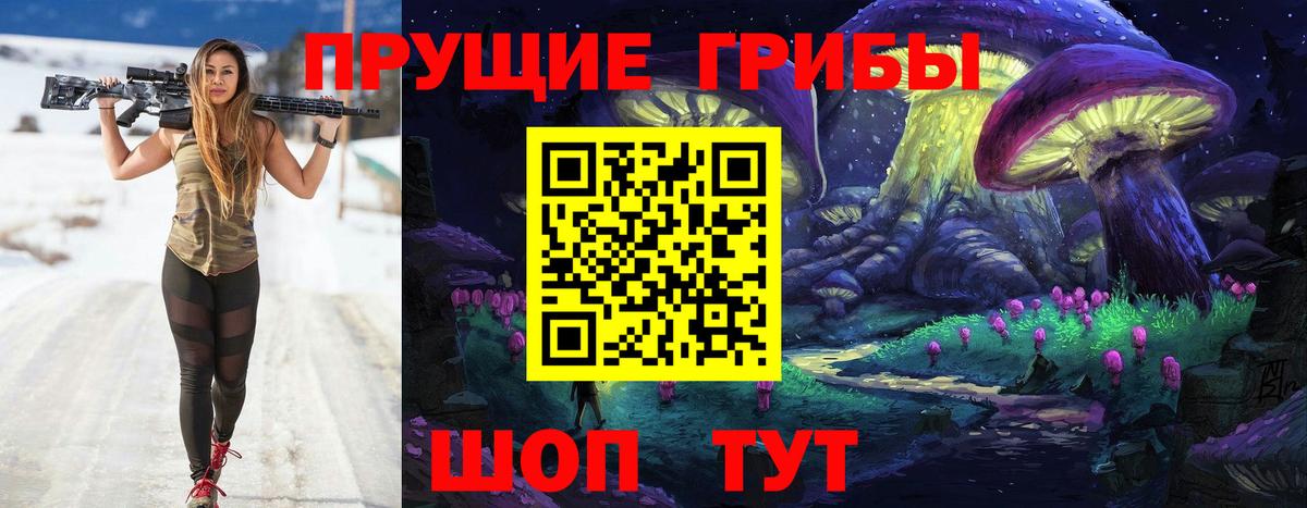 Шадринск  Псилоцибиновые грибы Psilocybe  Вход с VPN 