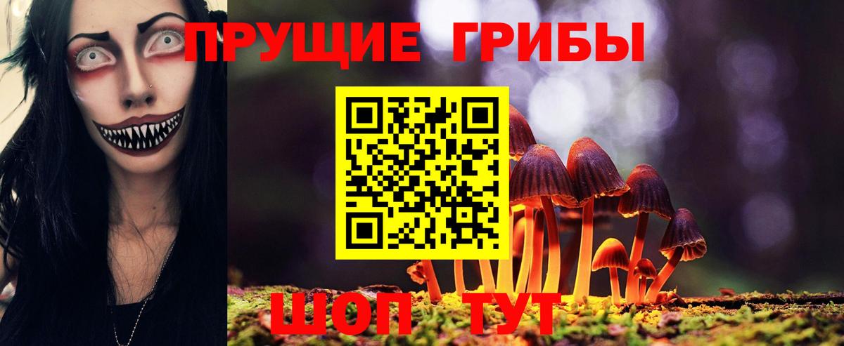 Галлюциногенные грибы Psilocybe Шадринск